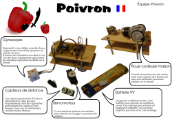 Poster 2013